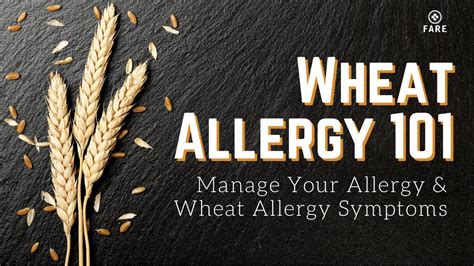 Food Allergy 101 Wheat Allergy Symptom Wheat Allergy Food Youtube