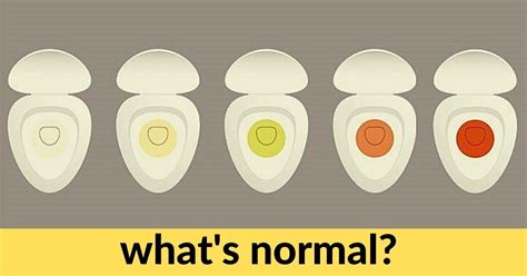 What The Color Of Your Pee Says About You Kiwiwell