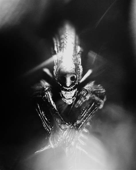 Happy Alien Day Heres A Photo I Took Of My Xeno Statue Rlv426