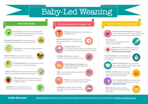 Your baby may consume a total of about 25 ounces of breast milk every day at this age. The Magic List of Baby-Led Weaning Foods [INFOGRAPHIC ...