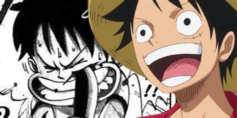 Why One Piece Waited So Long To Explain Luffys Face Scar Nông Trại