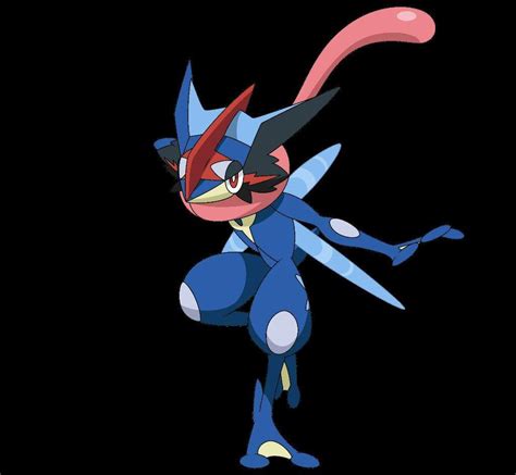 How Does Greninja Mega Evolve Become A Ex Pokémon Amino