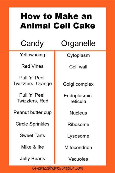 Check spelling or type a new query. How to Make an Animal Cell Cake | Animal cell, Animal cell ...