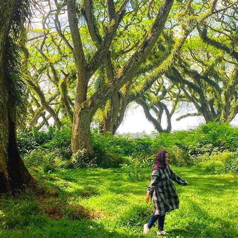 Tempat wisata kalimantan timur menjanjikan petualangan yang cukup membuat wisatawan ingin kembali lagi dan berpetualang di segala penjuru wilayah kalimantan timur. Hutan de Djawatan Benculuk awalnya terdapat bangunan yang ...