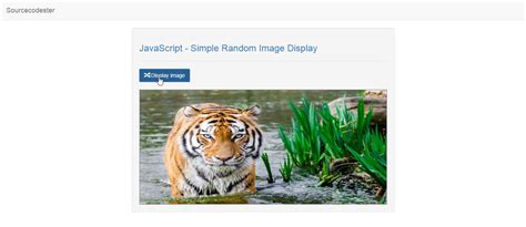 More than 18,000 free digital photographic images for web, publishing, and design. JavaScript - Simple Random Image Display | Free Source ...