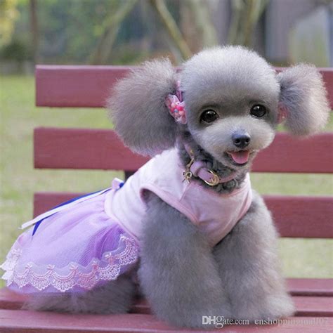 2020 Pet Dog Skirt Fashion Dog Puppy Tutu Lace Skirt Clothes Apparel