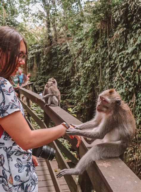 Monkey Forest In Ubud All You Need To Know Before You Go