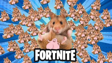 Bolas De Hamster Fortnite Ft Alessandroz Youtube