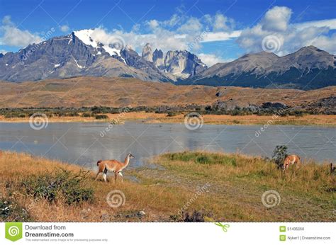 Glacial Mountain Landscape In Patagonia Stock Photo