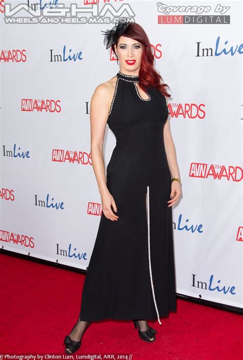 The Red Carpet Event At The 2014 Avn Award Show By Clinton Lum