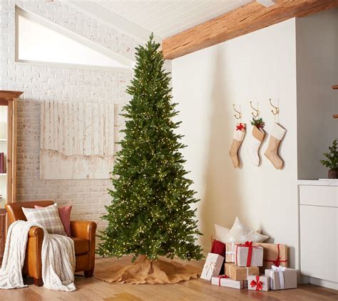 Santas Best Alberta Spruce Starry Light Wrgb Christmas Tree —