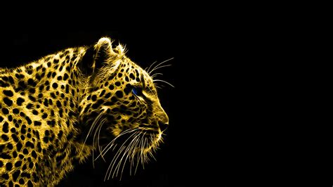 Leopard Animals Black Background Fractalius Wallpapers Hd Desktop