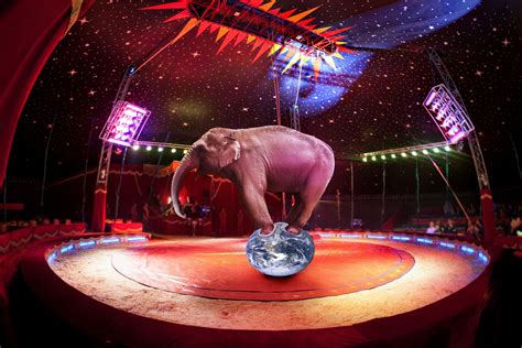 The Elephant In The Circus Aec Business