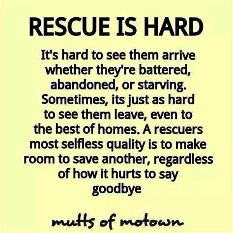 We Are Eternally Grateful To All Those Who Help In Rescuing And