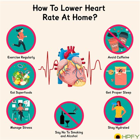 How To Lower Heart Rate 7 Easy Ways