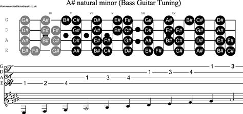 Bass Guitar Scale Bb Minor