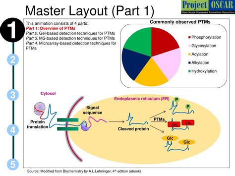 Thaliana proteins and membrane bound proteins. PPT - Post-translational modifications PowerPoint ...