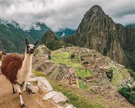 El Mejor Momento Para Caminar Por El Camino Inca Y Visitar Machu Picchu
