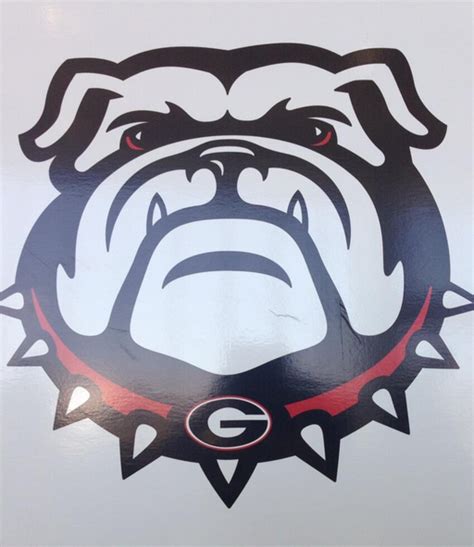 Georgia Bulldogs Unveils New Athletic Brand Identity Gets New