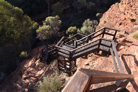 Full Guide To The Rim Walk And More Kings Canyon Walks