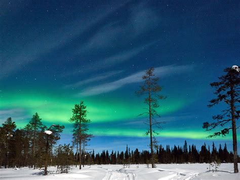Nordlicht In Lappland Finnland Im Winter Lappland Lappland