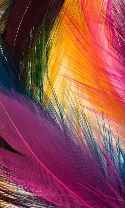 Cool Color Feathers Cell Phone Wallpapers Hd Wallpaper Colorful Phone
