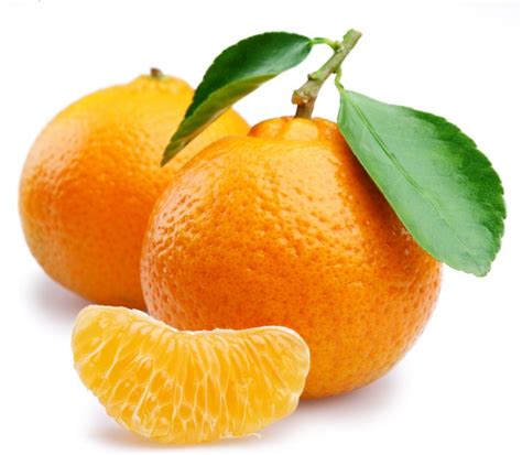 mandarina - FISIOLOGÍA VEGETAL