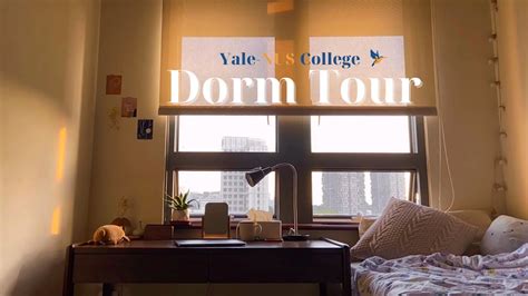 Yale Nus College Dorm Tour 2020 耶鲁 新加坡国大宿舍 Yale Nus Diaries Youtube