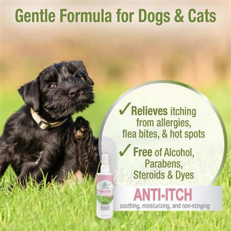 Healthy Promise Pet Aid Anti Itch Spray For Dogs And Cats Four Paws