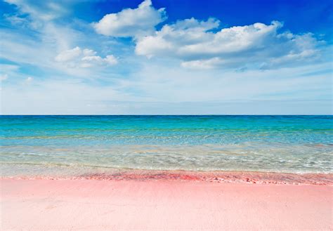 5 Pink Sand Beaches In The Caribbean And How To Get To Them