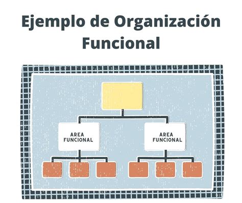 Organización Funcional Cómo La Estructura Organizacional Puede Mejorar
