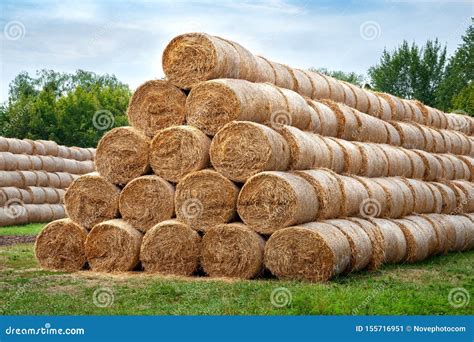 Hay Bales Hay Bales Are Stacked In Large Stacks Stock Image Image Of