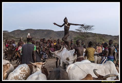 Etiopia Sur Salto De Los Toros Los Hamer South Ethiopia Flickr