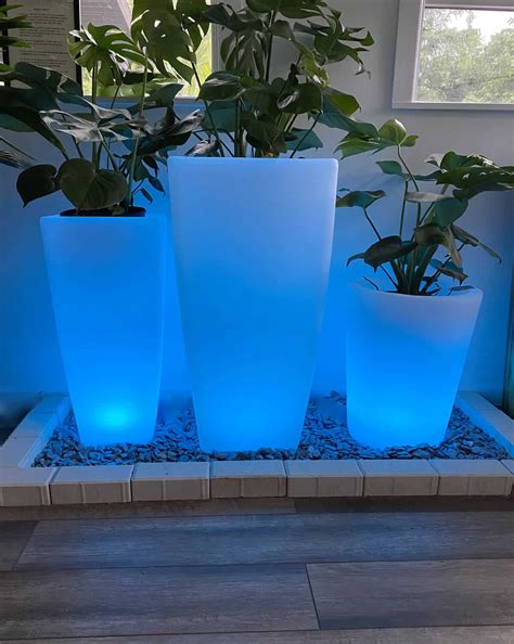 Illuminated Portable LED Square Planter - The Plant and Pot