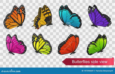 Butterflies Side View Isolated On Transparent Background Vector Stock