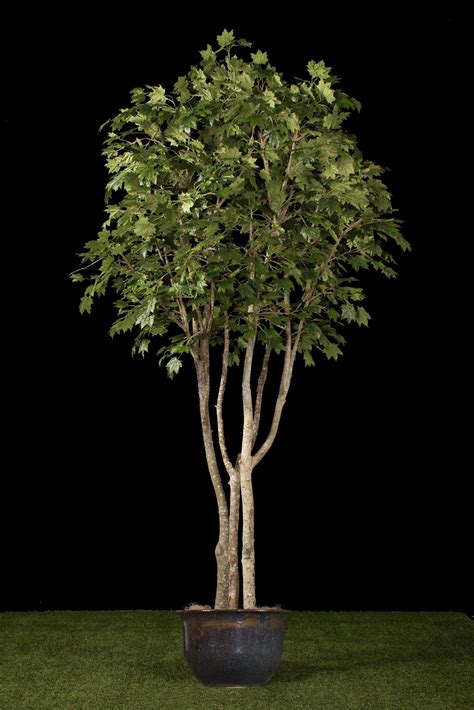 Artificial Maple Tree Treescapes And Plantworks