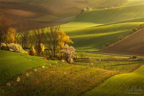 Moravian Tuscany On Behance