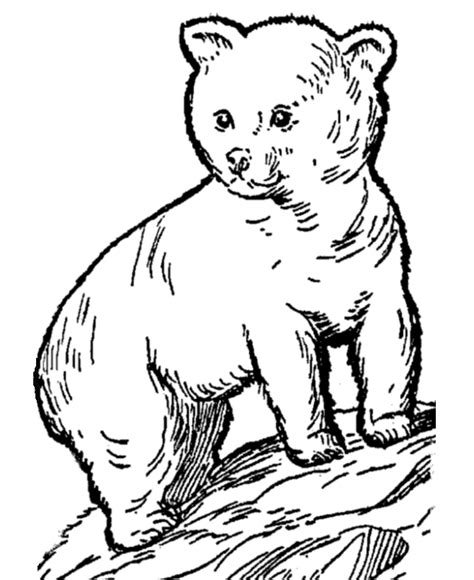 Enter the world of the cutest animals in the world. African Animals Coloring Pages - Coloring Home