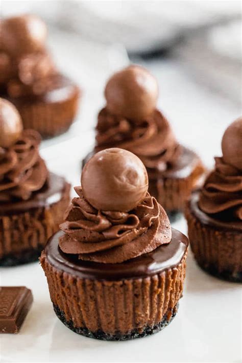 1/2 cup cocoa powder 1/4 cup butter or margarine, melted 3 (8 oz.) packages cream cheese 14 oz. Mini Triple Chocolate Cheesecakes ~ Recipe | Queenslee Appétit