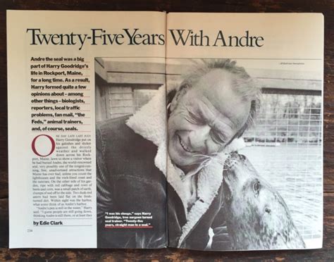 A sea lion plays andre. 25 Years with Andre the Seal | Yankee Magazine Classic