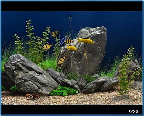 Dream Aquarium Screensaver Free Download Full Version Dopwinter