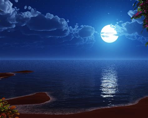 Blue Moon On Beach Hd Wallpaper Ocean At Night Beach At Night Moon