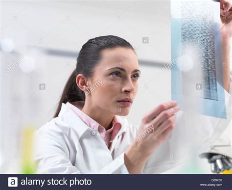 Scientist Examining Dna Sequencing Gel Stock Photo Alamy