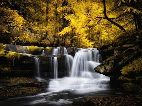 Waterfall In Fall Season Download Hd Wallpapers And Free Images