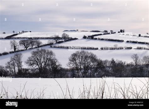 Winter Countryside Fields Covered In Snow Stock Photo Alamy