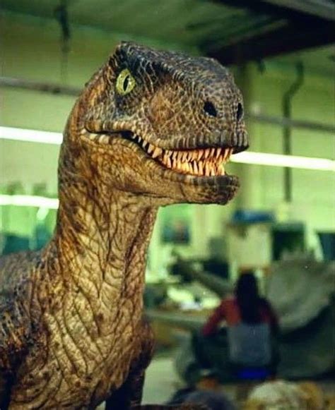 Velociraptor Maquette Jurassic Park Jurassic Park World Jurassic Park Series