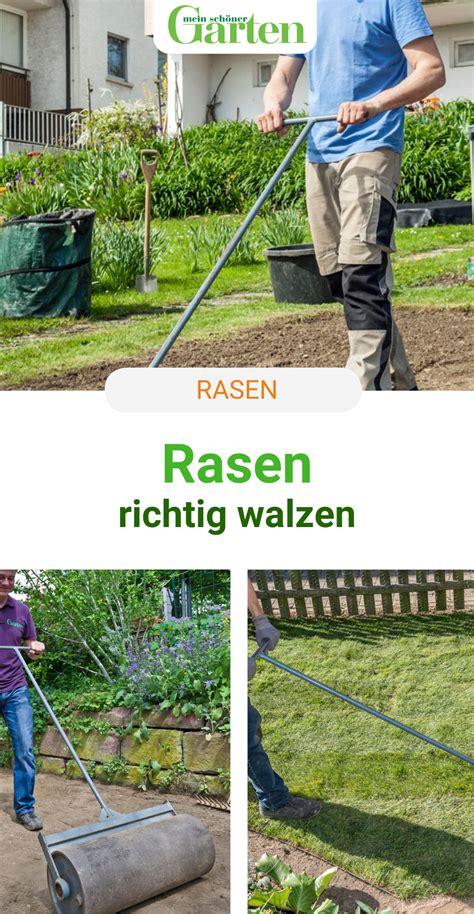 Haben sie ein solches gerät nicht zur hand, können sie auf diese alternativen zurückgreifen. Rasen richtig walzen in 2020 | Rasen walzen, Rasen anlegen ...