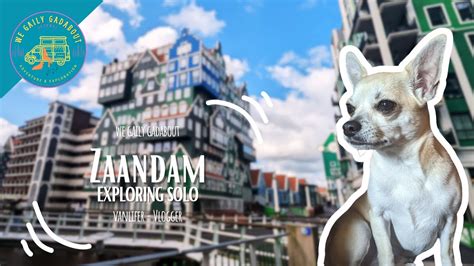 My Zaandam Adventure Begins Exploring Solo For A Week YouTube