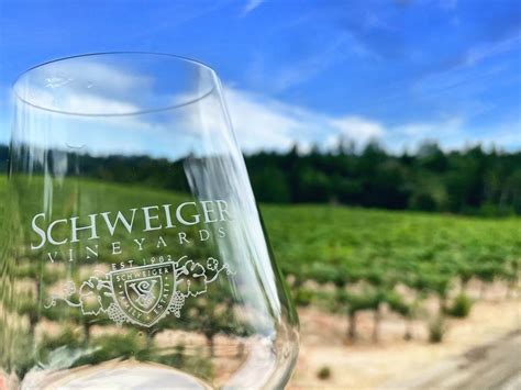 Schweiger Vineyards And Winery Updated April 2024 91 Photos And 91