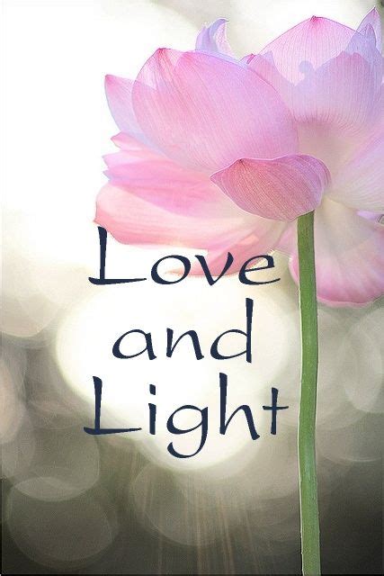 Love And Light Love And Light Quotes Lov